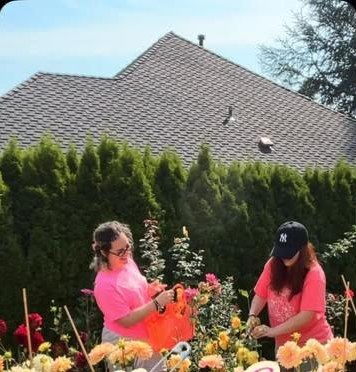 The roof of a suburban house above a tall hedge, with two people cutting dahlias in the rows below