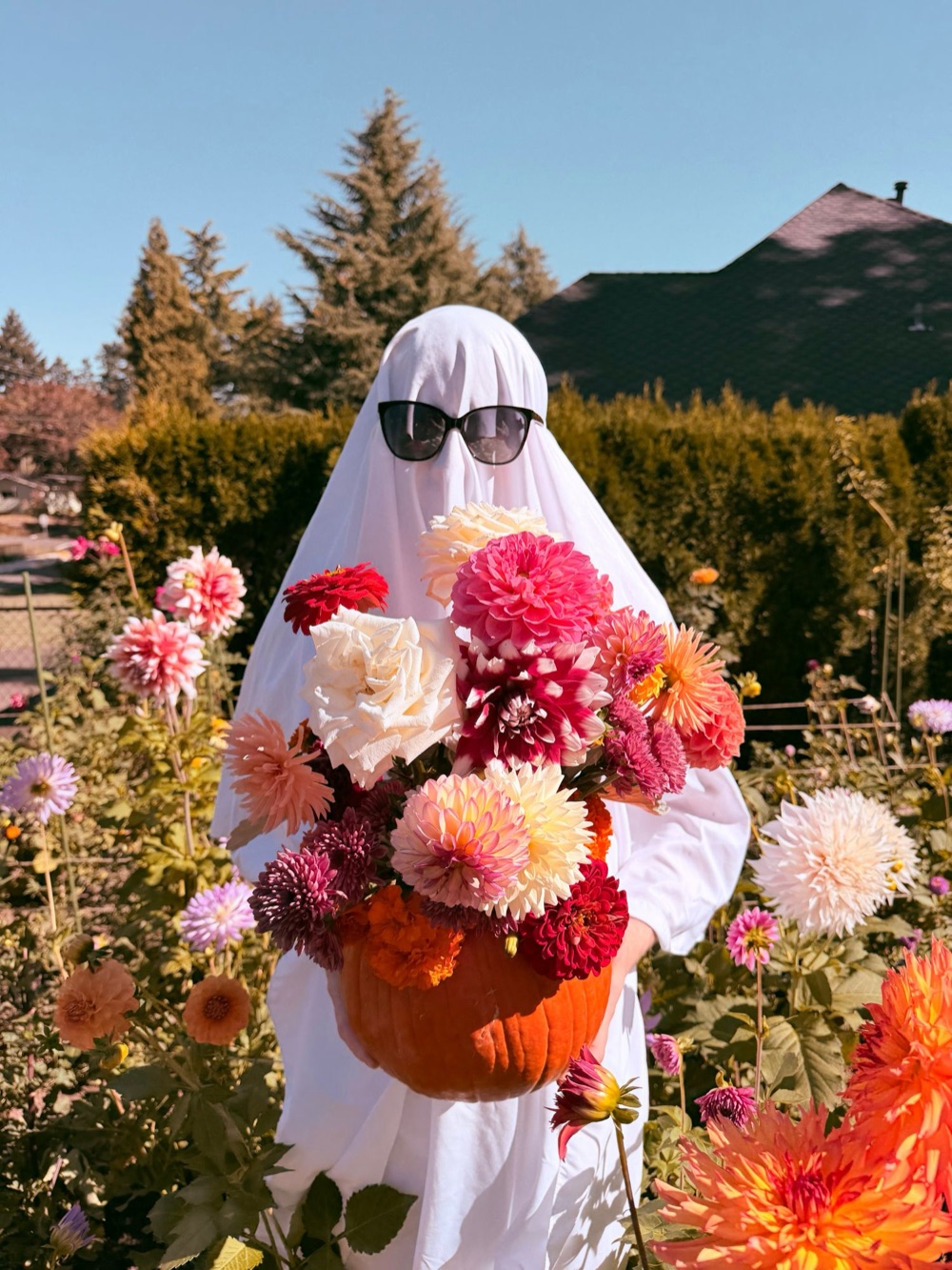 A ghost in sunglasses standing in the dahlia rows, holding a pumpkin overflowing with dahlias, zinnias and marigolds