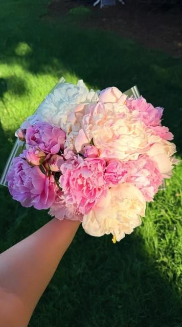 A hand holding a full bouquet of pink and cream blooms in the sun